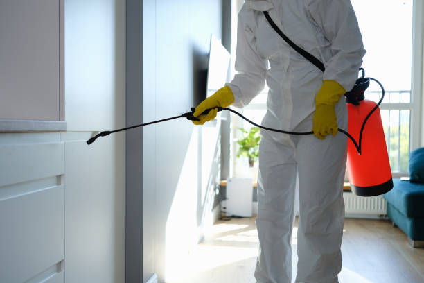 Best Office Mold Removal Services  in West Reading, PA